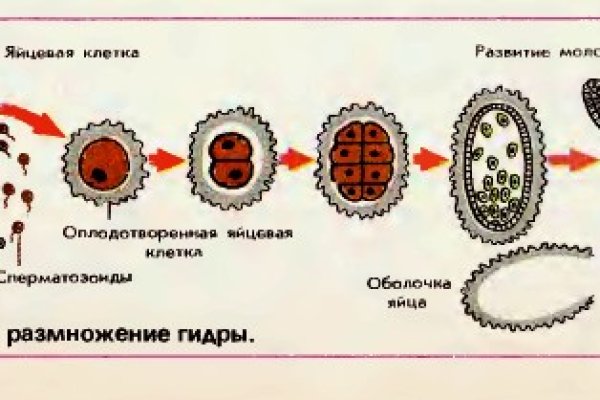 Кракен ссылка официальный чтоб зайти kraken6.at kraken7.at kraken8.at